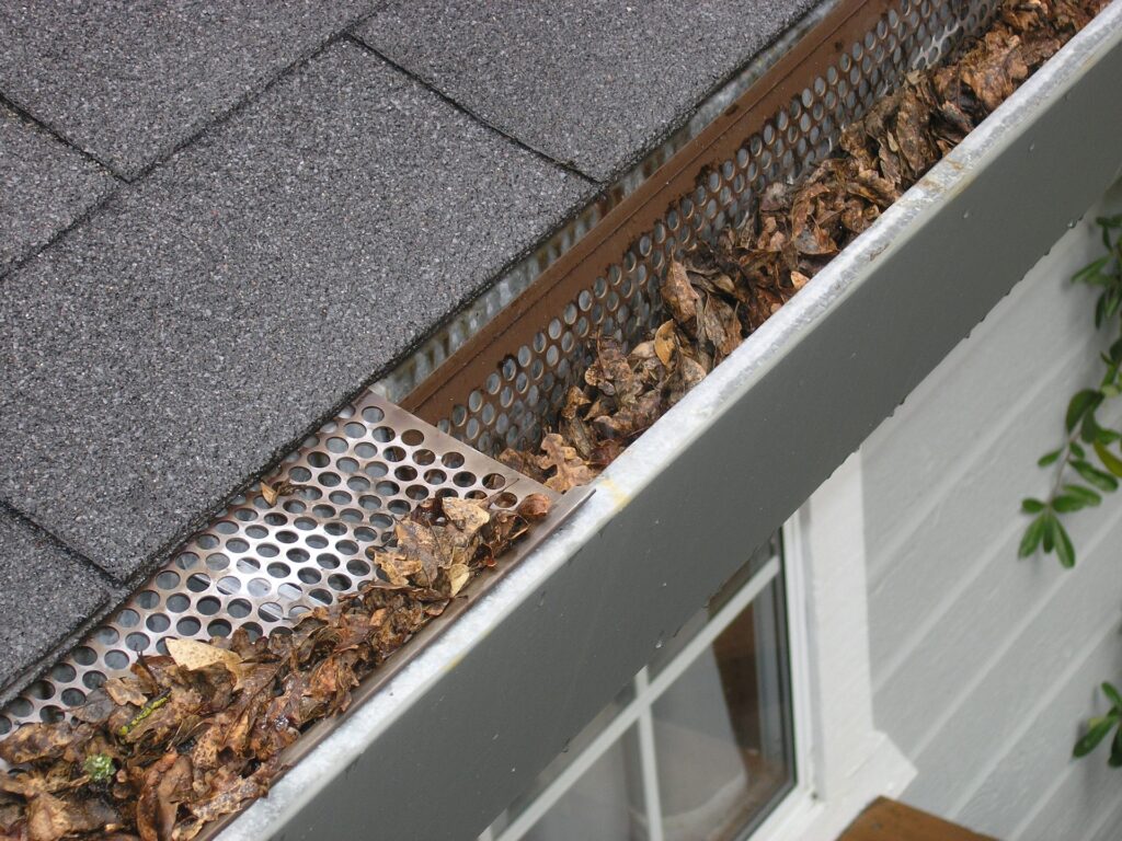 Gutter Installation and Cleaning of Fort Worth